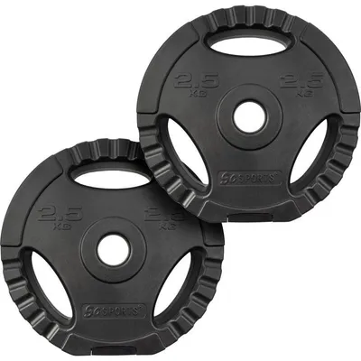 Obrázek produktu pro ScSPORTS kotouče 2x2,5 kg s úchyty, plast/cement, 30/31 mm