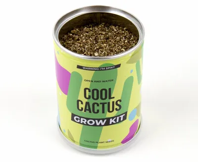 Productafbeelding van Gift Republic Coole Cactus