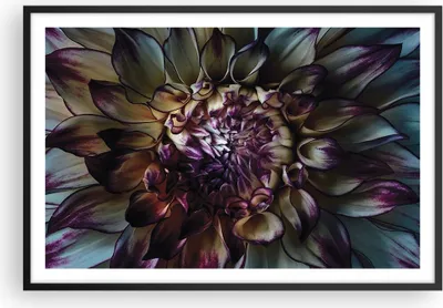Produktbild von Gerahmtes Poster - Schwarzer Rahmen - Blätter Agave Blume - 91,5x61 cm - Wand Bild - Wanddeko - Wandbilder - Kunstposter - Wandposter - Bilderrahmen - Bilder - Kunstdruck - P2BAA91x61-5122