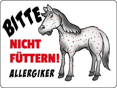Produktbild von vianmo Holzschild 30x40 cm Bitte nicht füttern Pferd