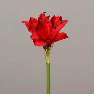 Produktbild von Kunstblume Amaryllis 51 cm red