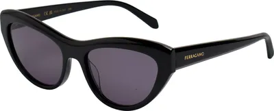 Image de Ferragamo SF1103S 001 BLACK 55/17/140 Lunettes de soleil pour femmes