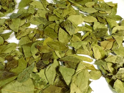 Produktbild von Curryblätter ganz Naturideen® 50g