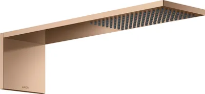 Productafbeelding van AXOR 12592300: Kopdouchemodule, 110/220