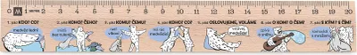 Obrázek produktu pro Metrie | Didakt-M02, Dřevěné pravítko s potiskem | Mluvnické pády | 20 cm