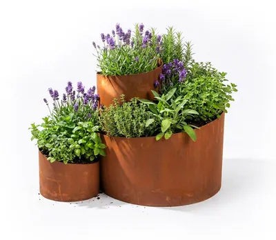 Produktbild von Relaxdays Kräuterspirale, HxBxT: 43 x 61 x 41 cm, 3 Segmente, Rost, Stahl, Kräuterpyramide Garten, Kräuterbeet, braun