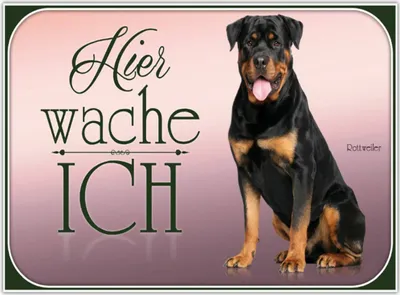 Produktbild von vianmo Holzschild 30x40 cm Hund Rottweiler hier wache ich