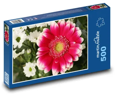 Obrázek produktu pro martinpuzzle - Puzzle 500 - Květina - rostlina, květ