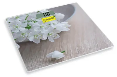 Immagine prodotto di Maestro bilancia elettronica da bagno MR1819