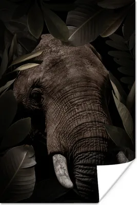 Produktbild von MuchoWow® Poster Elefant - Dschungel - Pflanzen 120x180 cm - Kunstposter