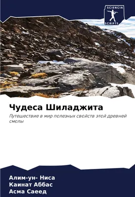 Produktbild von Wunder von Shiladzhita