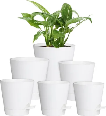 Image de lot de 6 pots de fleurs auto-irrigués 20.3-12.7cm Pure White