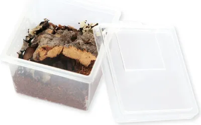 Image de Mini set Spiderman