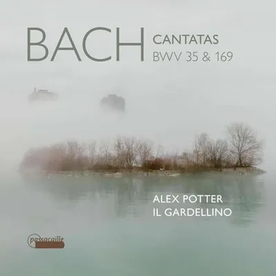 Immagine prodotto di Cantate BWV 35,564 e 169