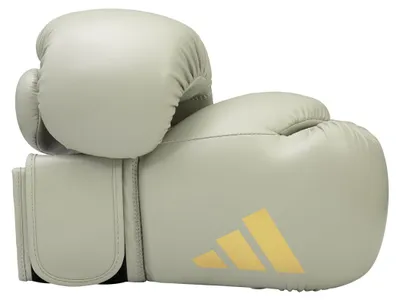 Produktbild von adidas Speed 50 aluminia/Gold 14oz