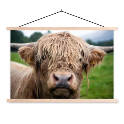 Produktbild von MuchoWow® Textilposter Schottische Highlander - Gras - Wald 120x80 cm mit holzfarbenen Rahmen - Aufhängeset