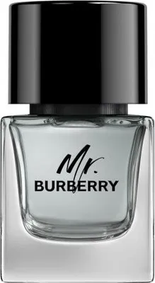 Produktbild von Burberry Spray Mr. Burberry Eau de Toilette