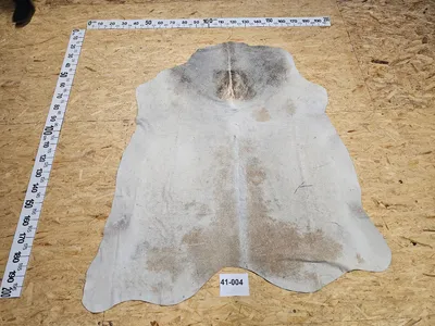 Produktbild von Kuhfell mit kleinen Mängeln 41-004