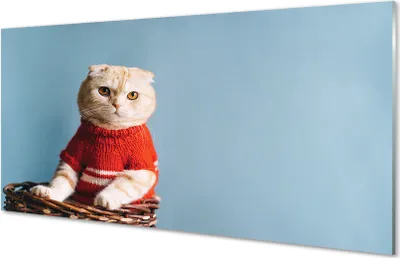 Produktbild von Glasbilder 120x60 Wandkunst sitzende Katze