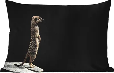 Produktbild von MuchoWow® Outdoor Kissen - Erdmännchen - Wilde Tiere - Schwarz - 50x30 cm - Wetterfest - Lounge Kissen - Sofa kissen - Wohnzimmer Dekoration