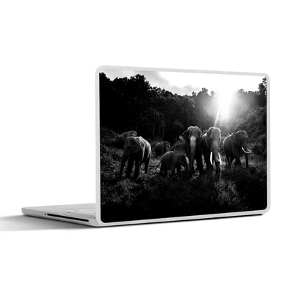Produktbild von MuchoWow® Laptop Aufkleber Sticker Cover Elefanten im Dschungel - schwarz und weiß 25x18 cm - Laptop-Deko