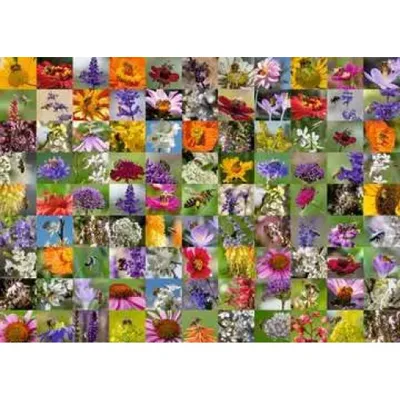 Image de Ravensburger 99 abeilles