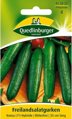 Zdjęcie produktu dla Quedlinburger Saatgut - Ogórek gruntowy Konsa - Nasiona - 413822