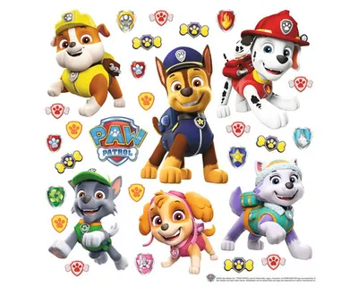 Obrázek produktu pro Samolepka Paw Patrol 30x30 cm