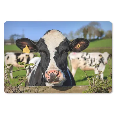 Produktbild von MuchoWow® Schreibtischunterlage Kuh - Zaun - Gras - Tiere 60x40 cm - XXL Mauspad - Großes Mauspad