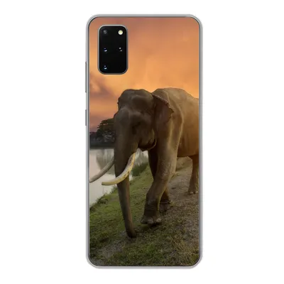 Produktbild von MuchoWow® Handyhülle Schutzhülle Hülle für Samsung Galaxy S20 Plus Elefant - Wasser - Tiere - Sonnenuntergang - Natur Silikon Softcase Handy Hülle - Hartschale