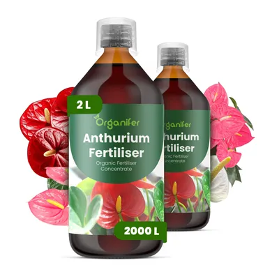 Obrázok produktu pre Anthurium, tekuté hnojivo, 2x 1 liter – vzťah NPK 3-4-3 – pre kvitnúce rastliny – pre bohaté kvitnutie a silné korene – podporuje rast stoniek a vitalitu – organické