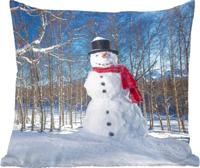 Produktbild von MuchoWow® Zierkissen Sofakissen Wohnzimmer Dekokissen 50x50 cm Eine verschneite Puppe in der Nähe von Anchorage in Alaska zu Weihnachten - Komfort - Sofakissen