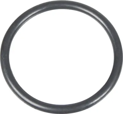 Imagen del producto de Oring para lavadora a presión Cedrus MC150P, modelo 560275