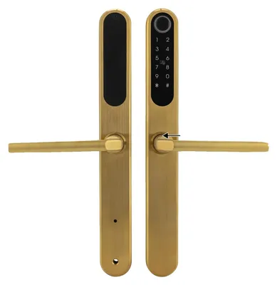 Produktbild von Smart Türschloss, Fingerabdruckzugang, Fernbedienung, Gold