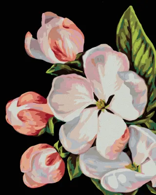 Zdjęcie produktu dla Zuty - Painting by Numbers - FLOWER JABLONE (MYROSLAVA VOLOSCHUK), 40x50 cm, na płótnie na ramie