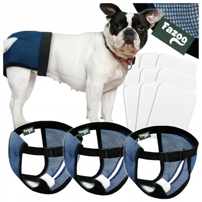Produktbild von Fazoo® Hundewindel Läufigkeitshöschen Größe S 3 Stück