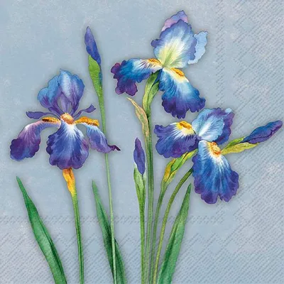 Produktbild von INSA blue Lunch-Servietten L 962440
