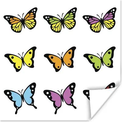 Produktbild von MuchoWow® Poster Eine Illustration von neun Schmetterlingen auf einem weißen Hintergrund 50x50 cm - Wohnzimmerdekoration