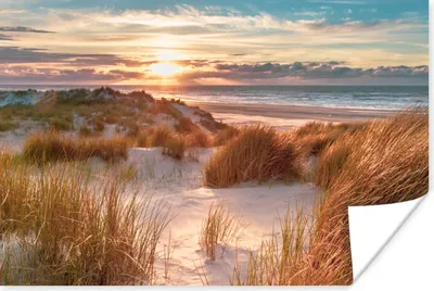 Produktbild von MuchoWow® Poster Düne - Pflanzen - Sonnenuntergang - Strand - Meer 60x40 cm - Schlafzimmerdekoration