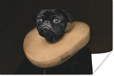 Produktbild von MuchoWow® Poster Gemälde - Mops - Alte Meister 180x120 cm - Fotoplakat