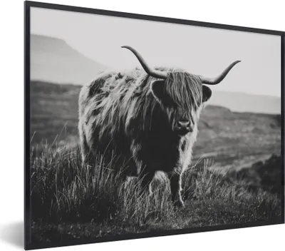Produktbild von MuchoWow® Gerahmtes Poster Schottische Hochlandbewohner - Natur - Kühe - Tiere - Schwarz und weiß 80x60 cm - Poster mit Schwarzem Bilderrahmen Wandposter Rahmen Foto Bilder - Schwarzem - Mit Gestell