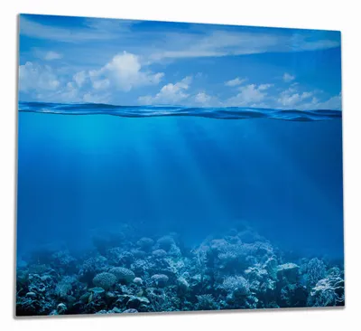 Produktbild von Wallario Herdabdeckplatte aus Glas, Größe 60 x 52 cm 1-teilig, Motiv Unterwasserwelt Meer