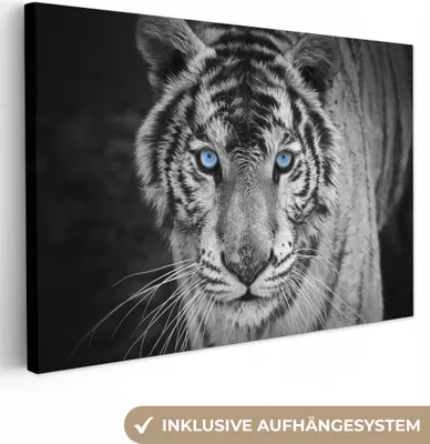 Obrázek produktu pro OneMillionCanvasses® - Plátno - Tygr - Zvíře - Černá - Modrá - Moderní, nástěnný obraz, nástěnná dekorace Obývací pokoj, 120x80cm