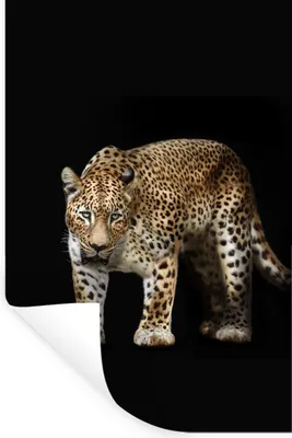 Produktbild von MuchoWow® Wandtattoo Wandsticker Wandaufkleber Leopard - Schwarz - Tiere 60x90 cm Selbstklebend und Repositionierbar - Sticker - Dekorfolie