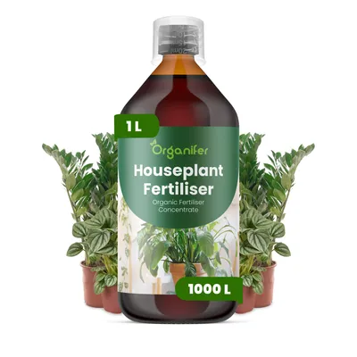 Produktbild von Zimmerpflanzen Flüssigdünger 1L – 2-1-8 NPK – Flüssig-Pflanzendünger für Zimmerpflanzen – Organifer