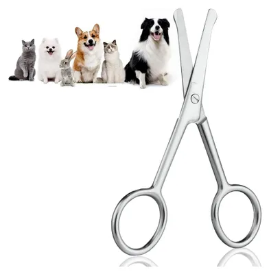 Produktbild von Hundehaarschere, 10,5 cm aus Edelstahl, abgerundete Schere für die Fellpflege