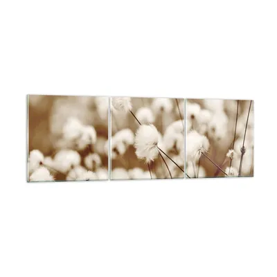 Produktbild von Bilder auf glas - 3 Teile - Baumwolle Boho Wollig - 150x50cm - Glasbilder - Wandbilder - Bilder - zum Aufhängen bereit - Wanddekoration aus Glas - Glas Bilder - Wandbild auf Glas - GCA150x50-4850