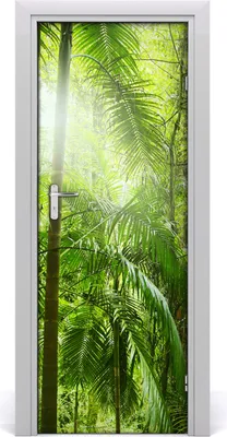 Produktbild von Tulup Türaufkleber 75x205 cm Dekorative Aufkleber Selbstklebend Wasserdichte Tapete Abnehmbar Schlafzimmer Wohnzimmer Wohnkultur - Regenwald