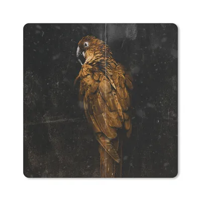 Produktbild von MuchoWow® Mauspad Mousepad Papagei - Schwarz - Gold 30x30 cm - Mousepads - Maus Mat - Pad - Mausunterlage - Gaming