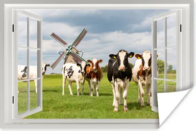 Produktbild von MuchoWow® Poster Ansicht - Kuh - Mühle 30x20 cm - Plakate - Print